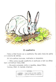 Páscoa Leitura o coelhinho