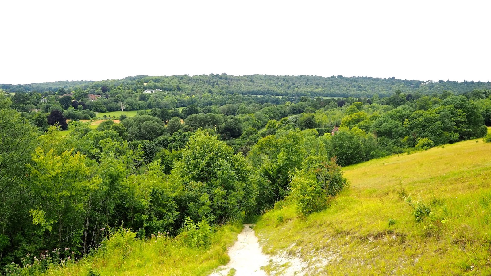 A Day at Box Hill