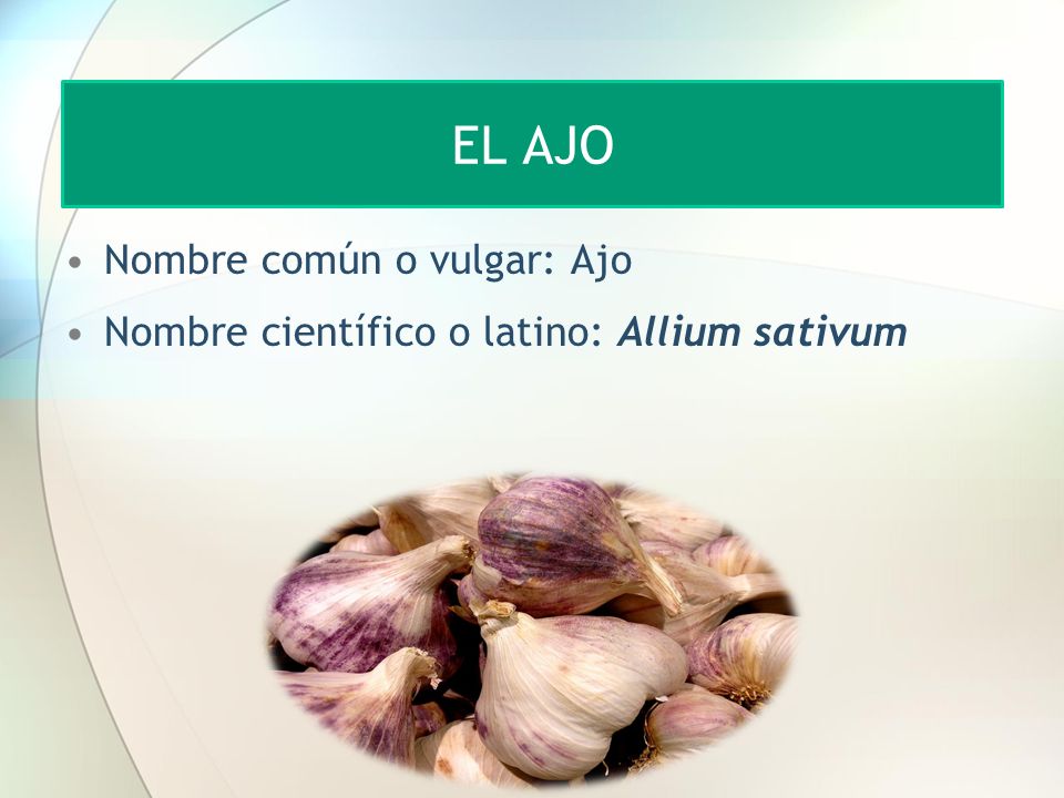 ¿Qué es Nombre común o vulgar de las plantas y el nombre científico? Botánica integra ¿Qué es Nombre común o vulgar de las plantas y el nombre científico? Botánica integra
