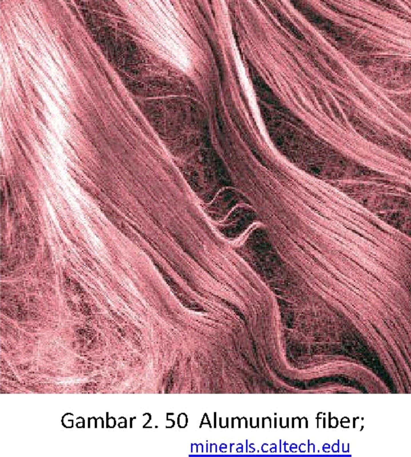 Bahan Alat Penangkap Ikan Dari Serat Alami Mineral ~ AanBLOG