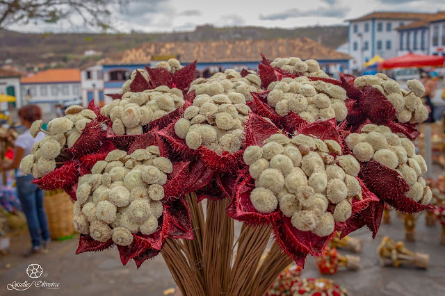 O artesanato com flores de sempre-vivas de Diamantina ~ Conheça Minas