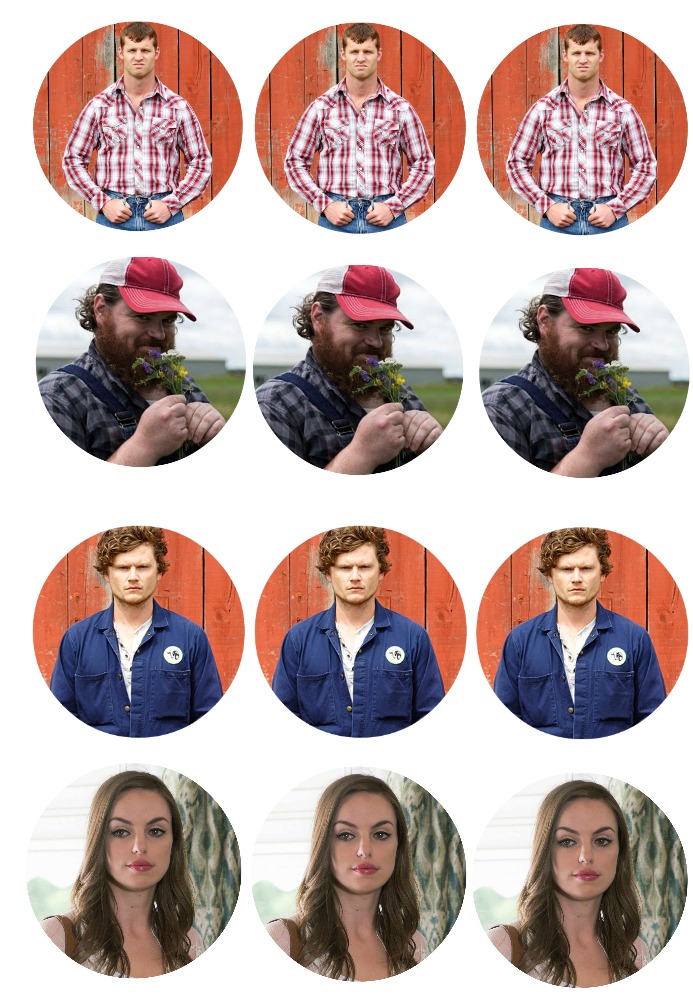 musings-of-an-average-mom-letterkenny-cupcake-toppers