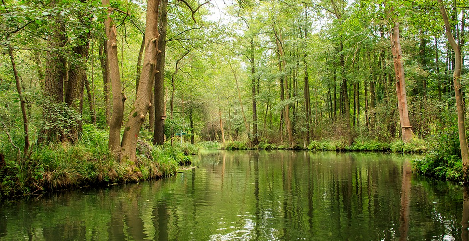Pengertian Biosfer Karakteristik Faktor Yang Berpengaruh Dan Fungsinya Geoaidi