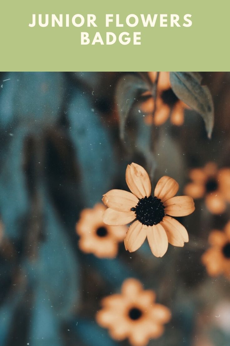 A Girl Scout Leader's Journal Junior Flowers Badge