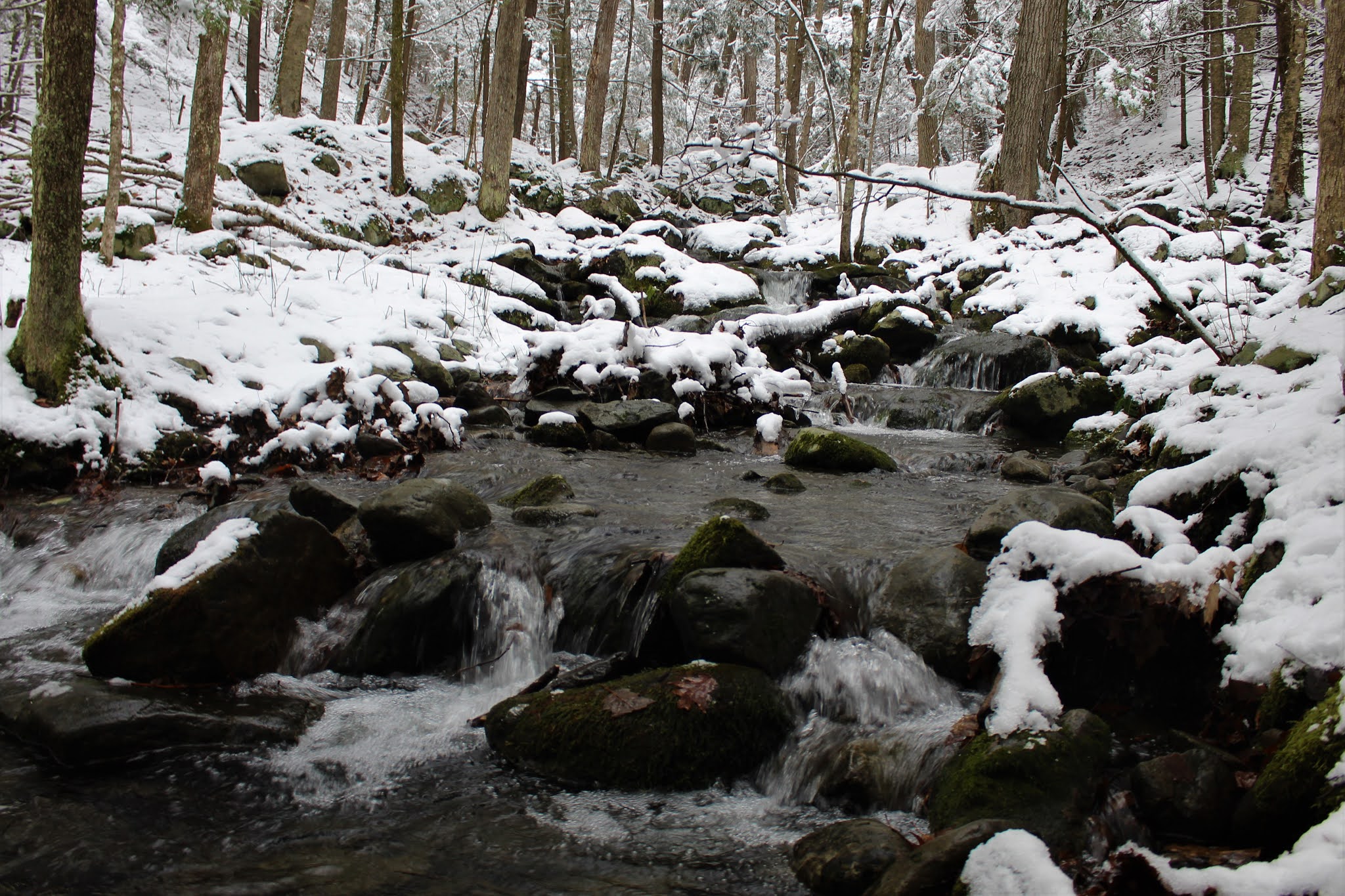 Walking Man 24 7 Barberville Falls Preserve(Poestenkill, Rensselaer