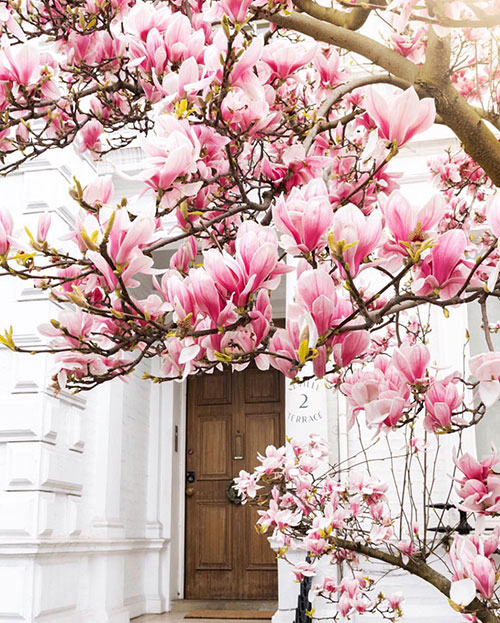 Colour Story: Dusky Pinks for Springtime in Spain