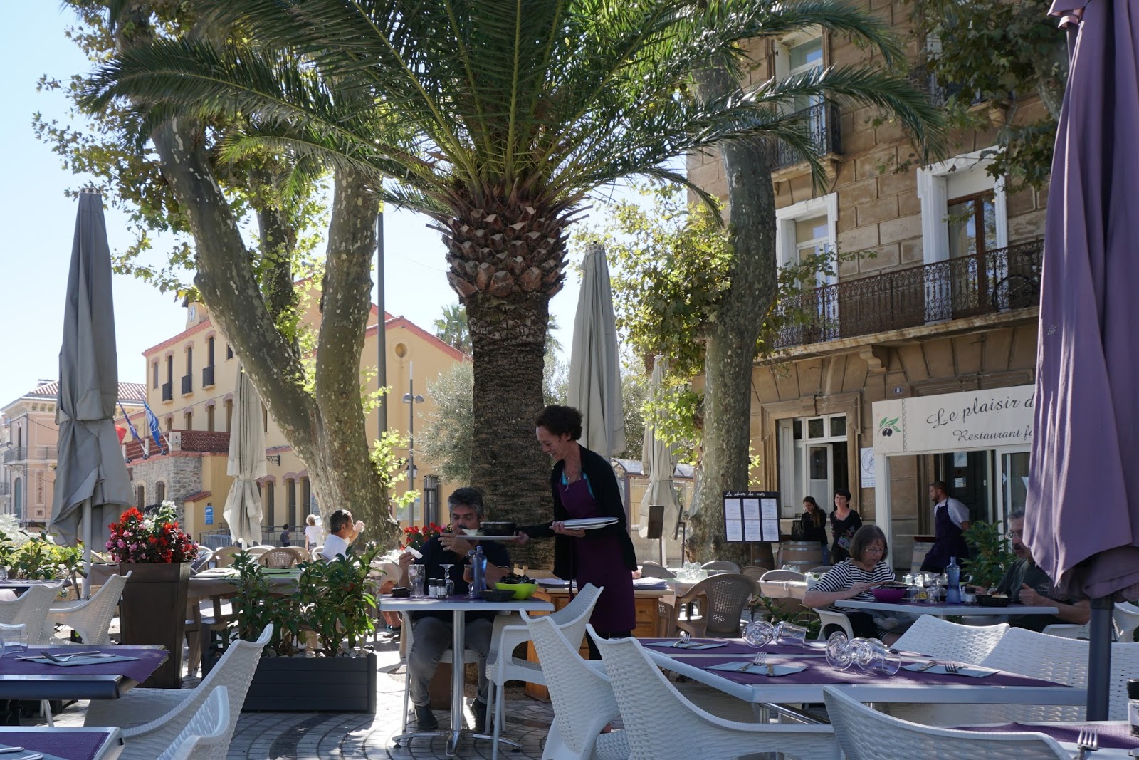 musings florida snow shovel