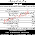 Jobs in Punjab Group of College Teaching and Non-Teaching Latest 2020