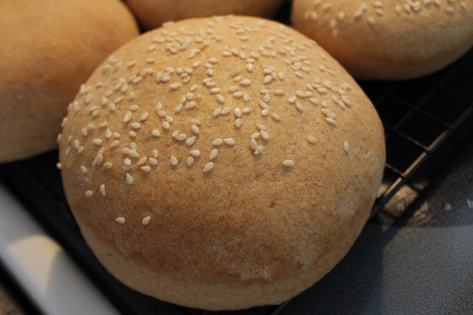 RisC Handmade Homemade Whole Wheat Hamburger Buns