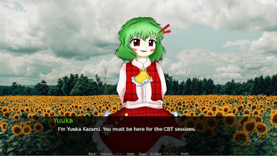 Cbt With Yuuka Kazami Game Screenshot 2