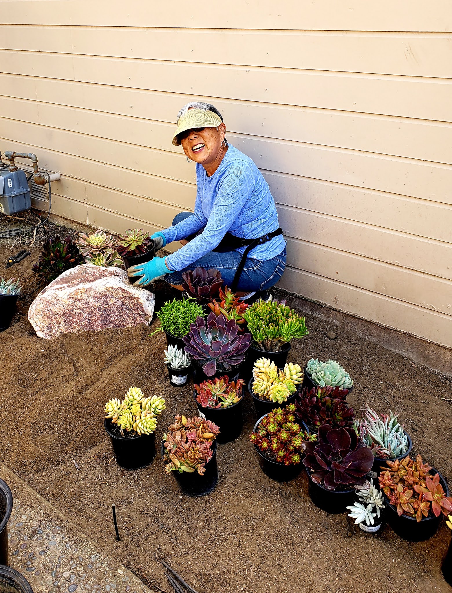 Succulents by Vreeke