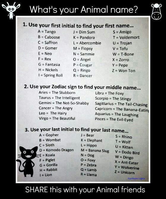 PopQuizfFunPalace: What's Your Animal name?
