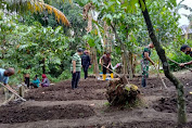 Penanaman Bibit Bawang Merah Dan Sayur Sayuran Di Kampung Tangguh Gemar Pamer Permata Kelurahan Padang Merbau Kecamatan Padang Hulu Kota Tebing Tinggi