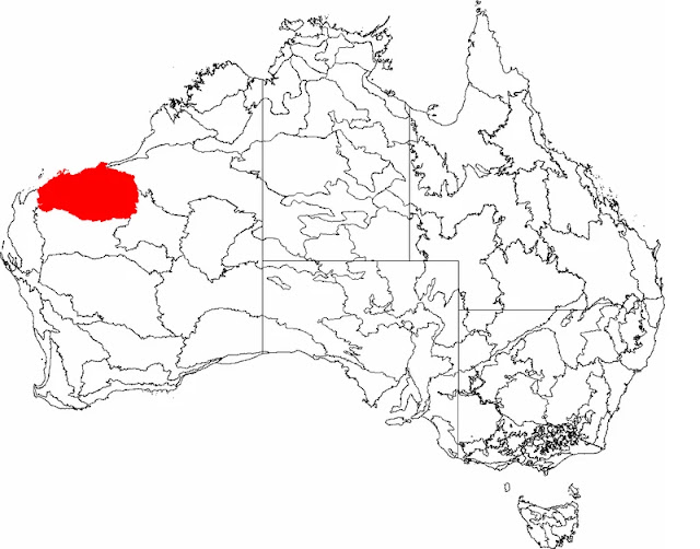 Cratón de Pilbara