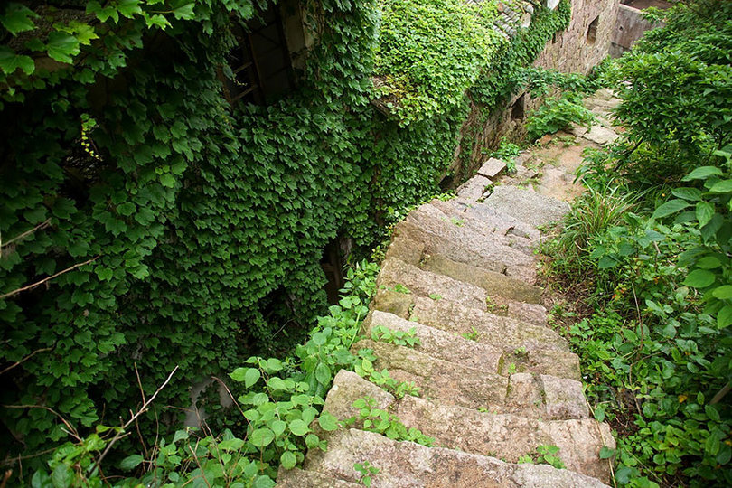 Shengsi island fishing village, fish village, houtouwan, shengsi island, gouqi island, gougi island, houtouwan china, abandoned chinese fishing village, abandoned fishing village china, shanghai islands, coastal village, ghost village, abandoned houses, green paradise
