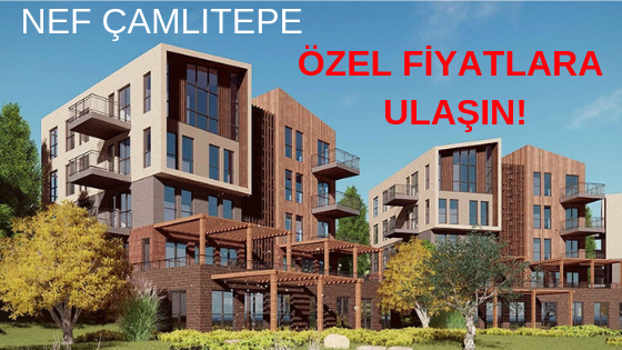 NEF ÇAMLITEPE