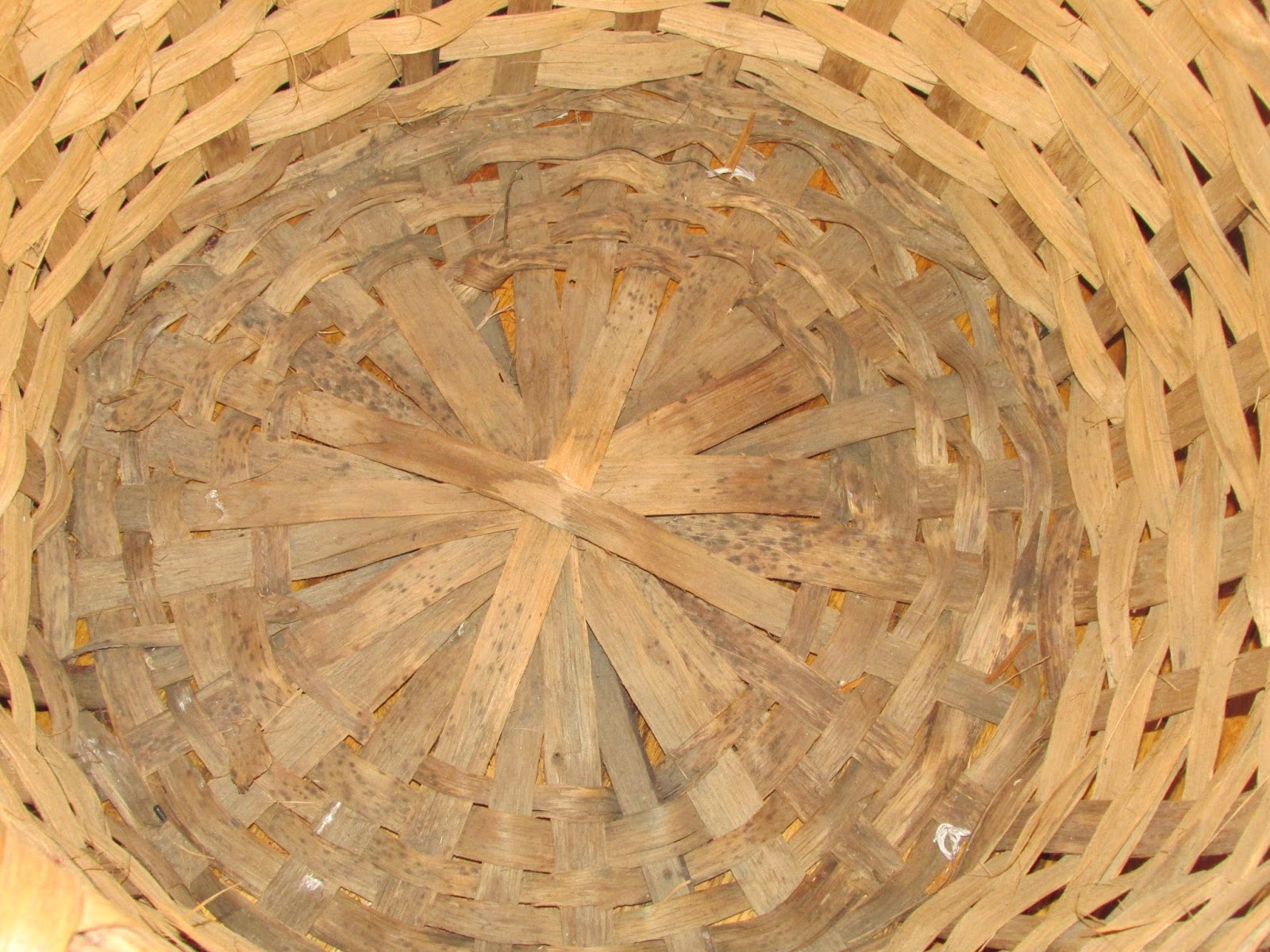 A Couple of Farmers At Maple Lawn Farm 19th Century Cotton Picking