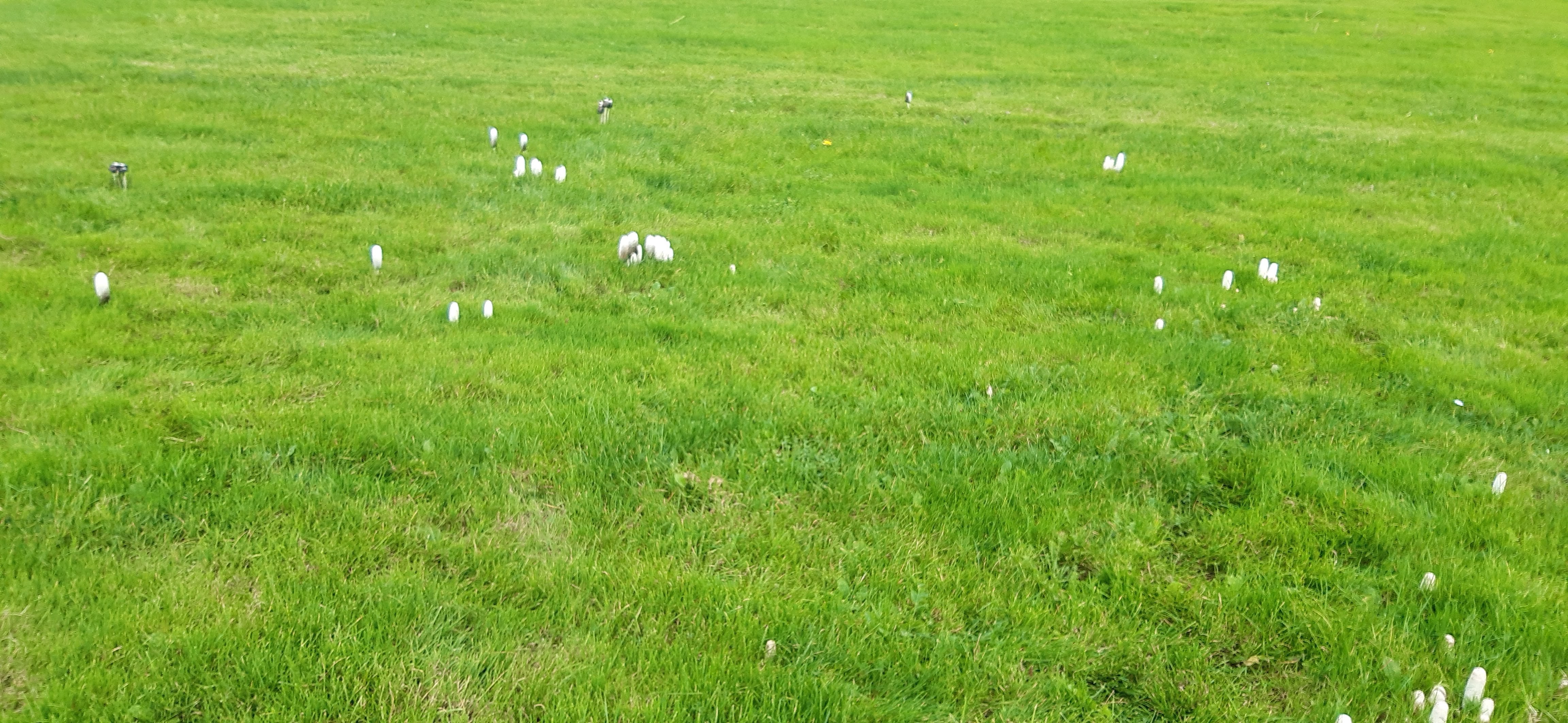 Everyone Likes Pictures Boardman Bike brake upgrade