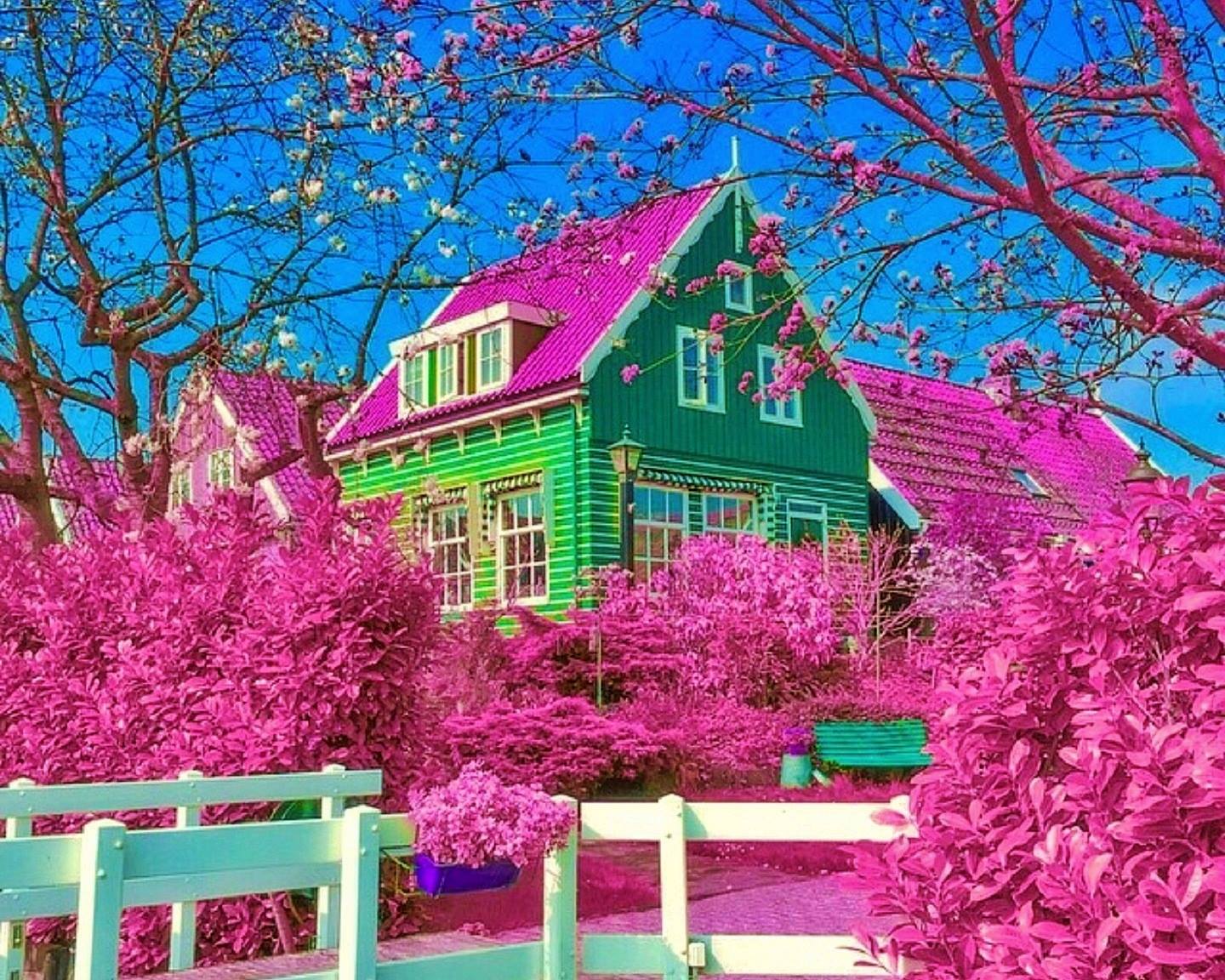 Дом с цветами розовый. Розовый деревянный дом. Розовый домик. Красивый дом в цветах. Красивые розовые домики.