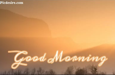These Best 99+ Good Morning Images will make your day These Best 99+ Good Morning Images will make your day