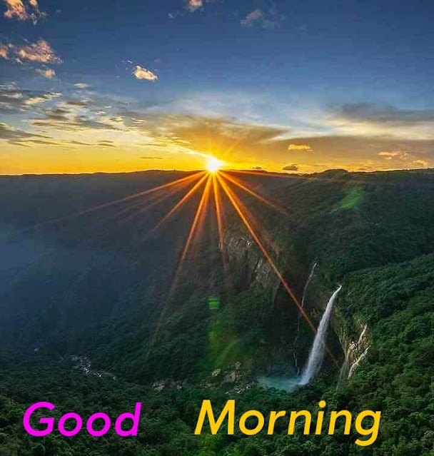 Good Morning Images Free Download For Whatsapp, good morning images for whatsapp free download, good morning images for whatsapp, good morning images, good morning images download,