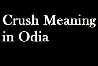 crush meaning in odia | Crush Odia Meaning Crush Meaning in Oriya