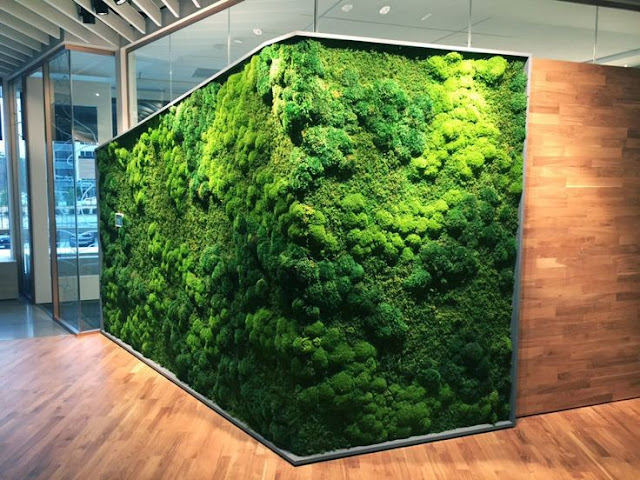 grass%2Bwall%2Bdecor%2B%252830%2529