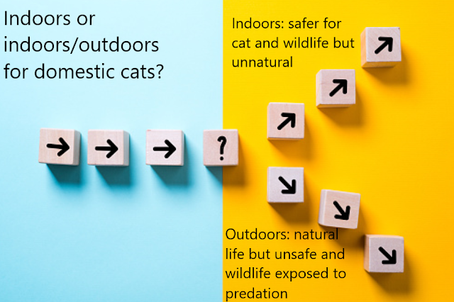 The indoor-outdoor cat debate
