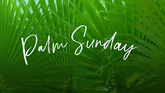 Palm Sunday download besplatne pozadine za desktop 1920x1080 HDTV 1080p slike ecards čestitke Cvjetnica