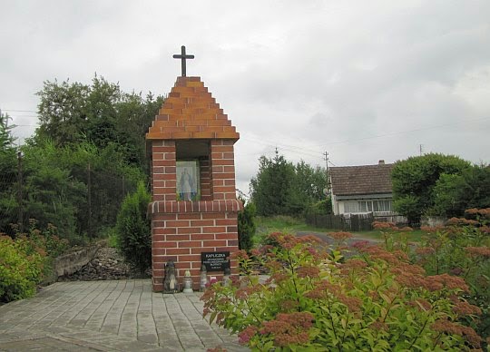 Kapliczka przy skrzyżowaniu dróg w Błotnicy. Kapliczka przy skrzyżowaniu dróg w Błotnicy.