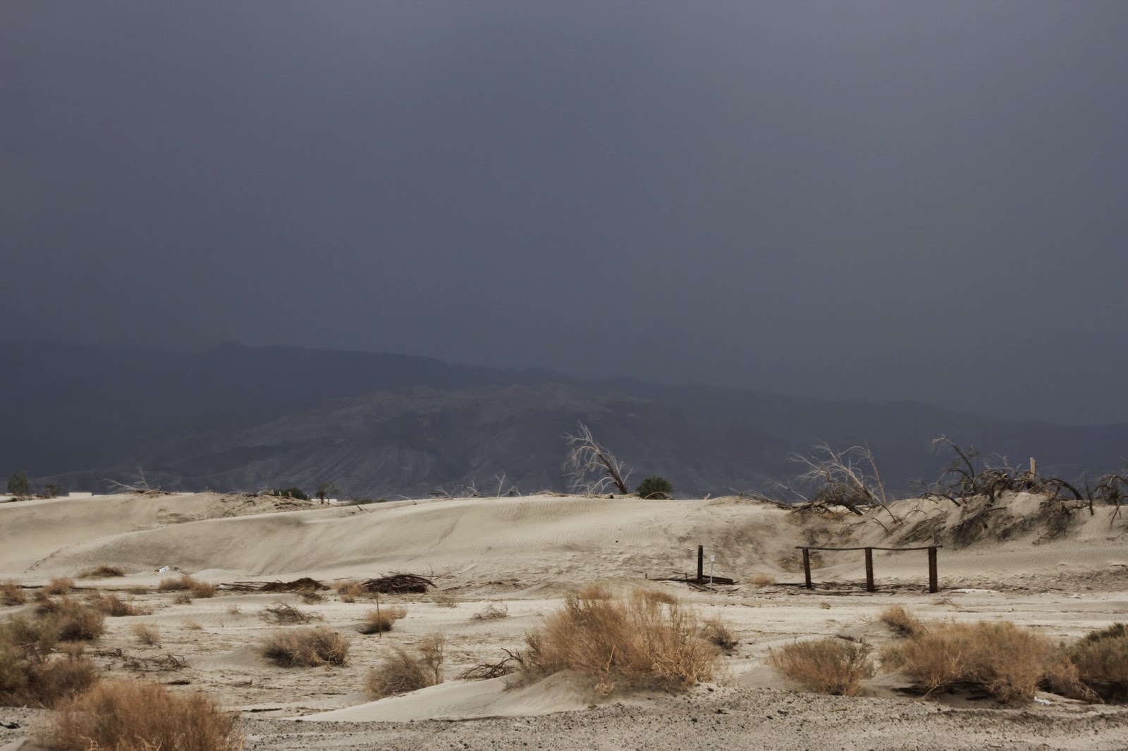 how much did it rain here yesterday