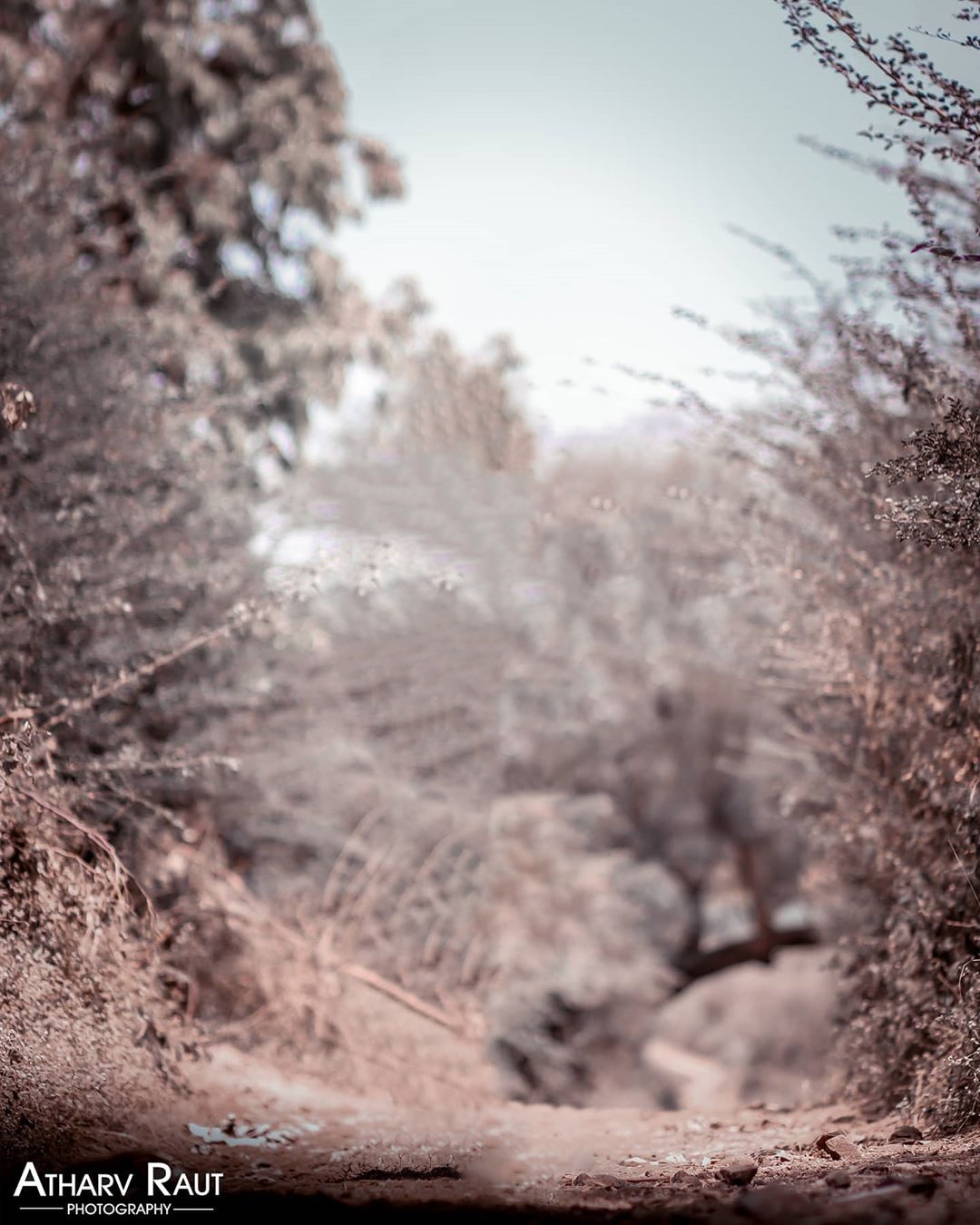 🔥 (10+) Best Background Images Hd For Editing [Download]