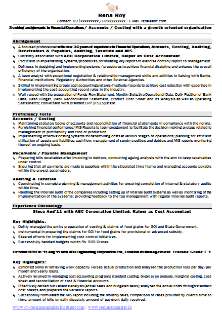 creating a professional resume