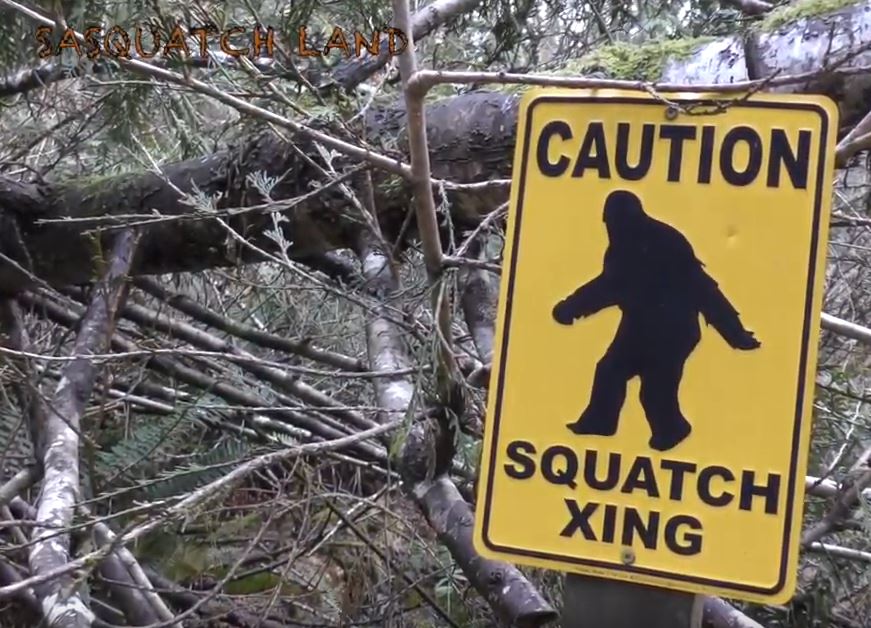 Squatchin' Time In BC