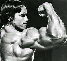 Arnold Pictures