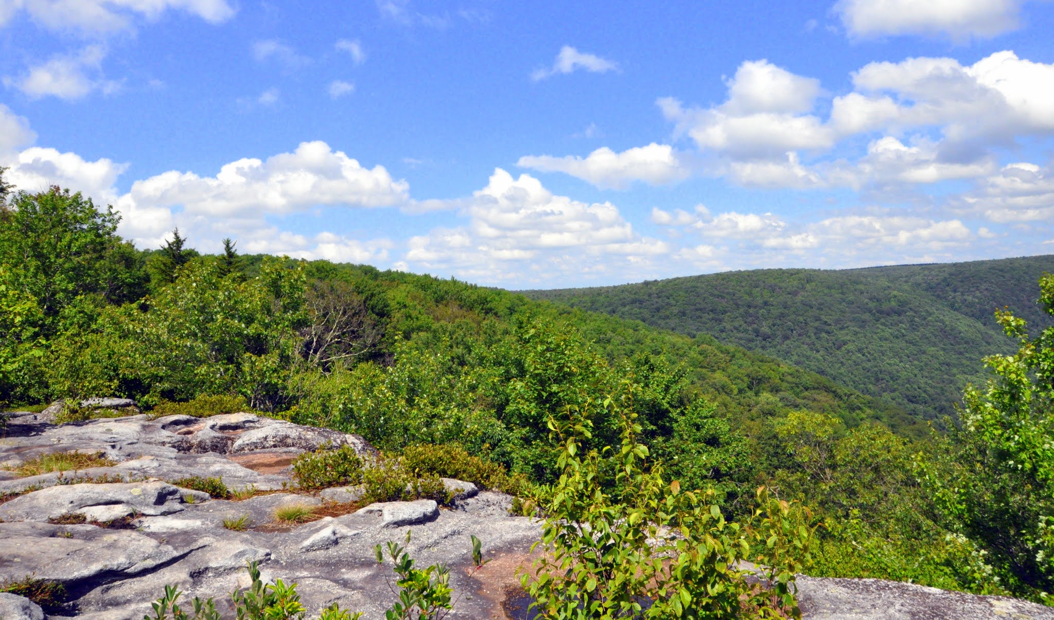 MidAtlantic DayTrips Table Rock Hike in Monongahela National Forest