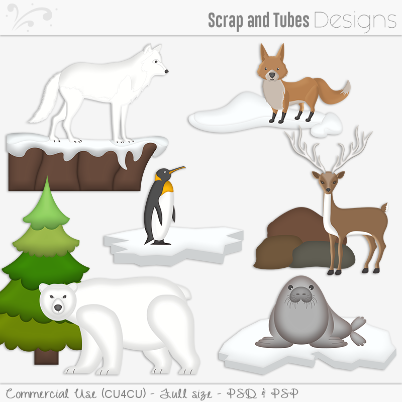 My NEW Releases + Freebie - Scrap and Tubes Designs