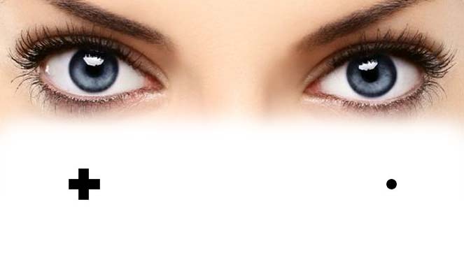 Mengapa Mata Manusia Punya Titik Buta Tipsiana