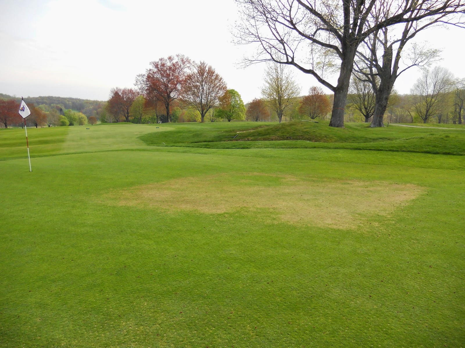Mahopac Golf & Beach Club Greens Department