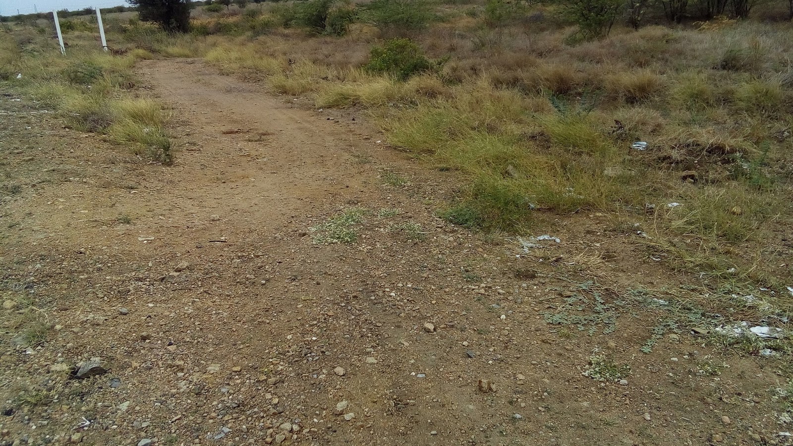 SRI BALAJI REALS 2000 Acre Land for Sale in NH 45B Tuticorin Tamilnadu