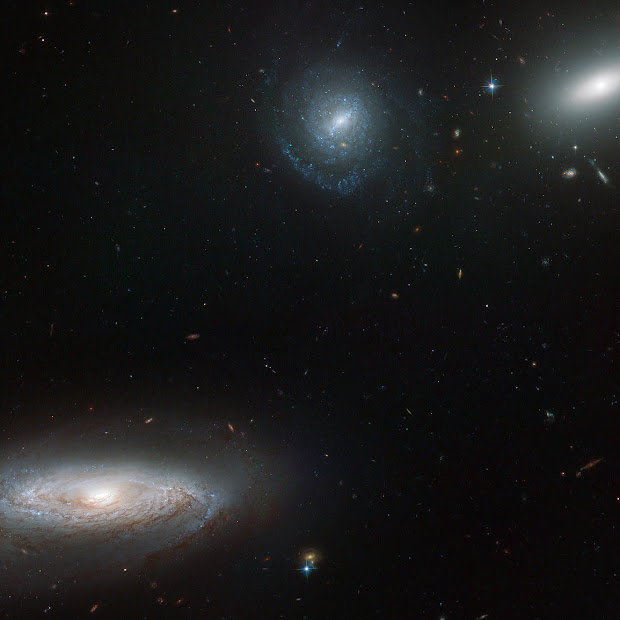 Hubble pictures part of the Hickson Compact Group 7 (HCG 7)
