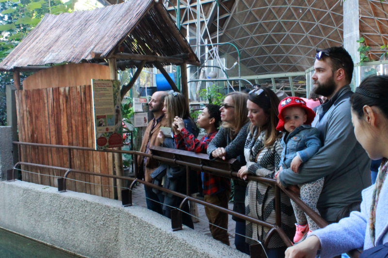 A Family Day at the Toronto Zoo | To & Fro