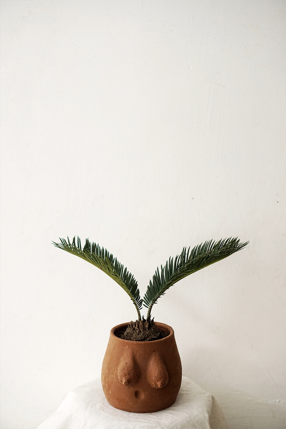 Hd Beautiful Mobile Wallpaper Phone Wallpapers Cool Backgrounds hd beautiful mobile wallpaper phone