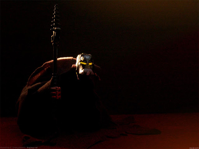 090816 Lego Bionicle Moc 010