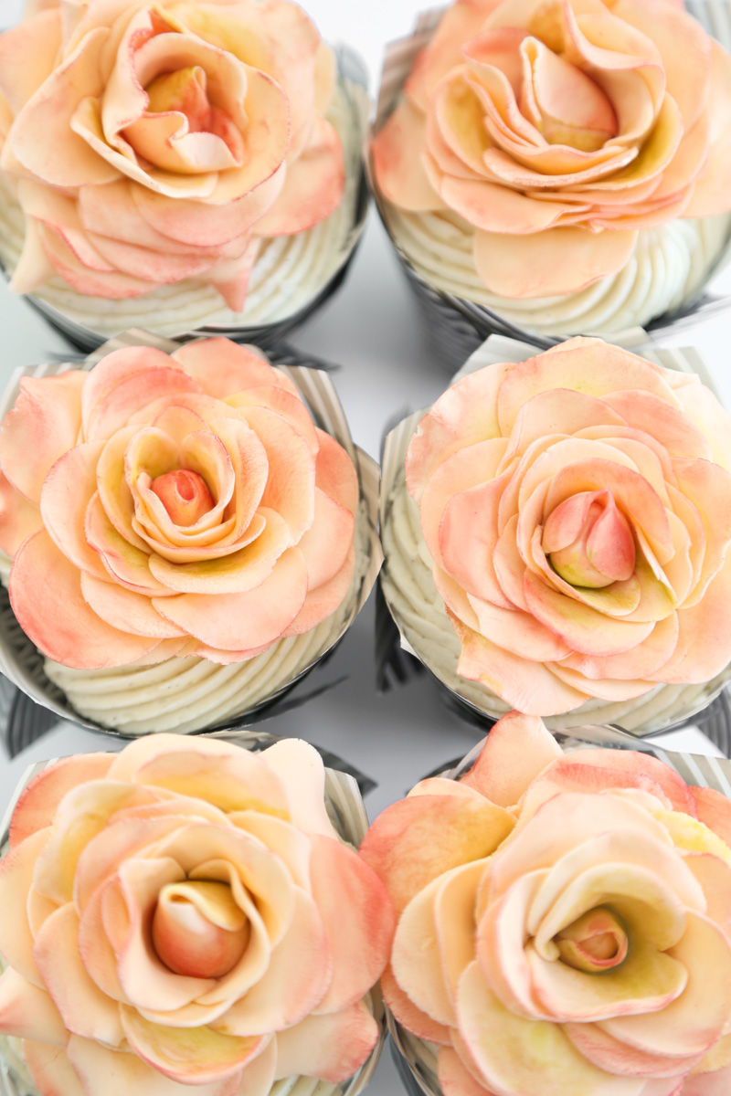 A Dozen Rose Cupcakes Sprinkle Bakes