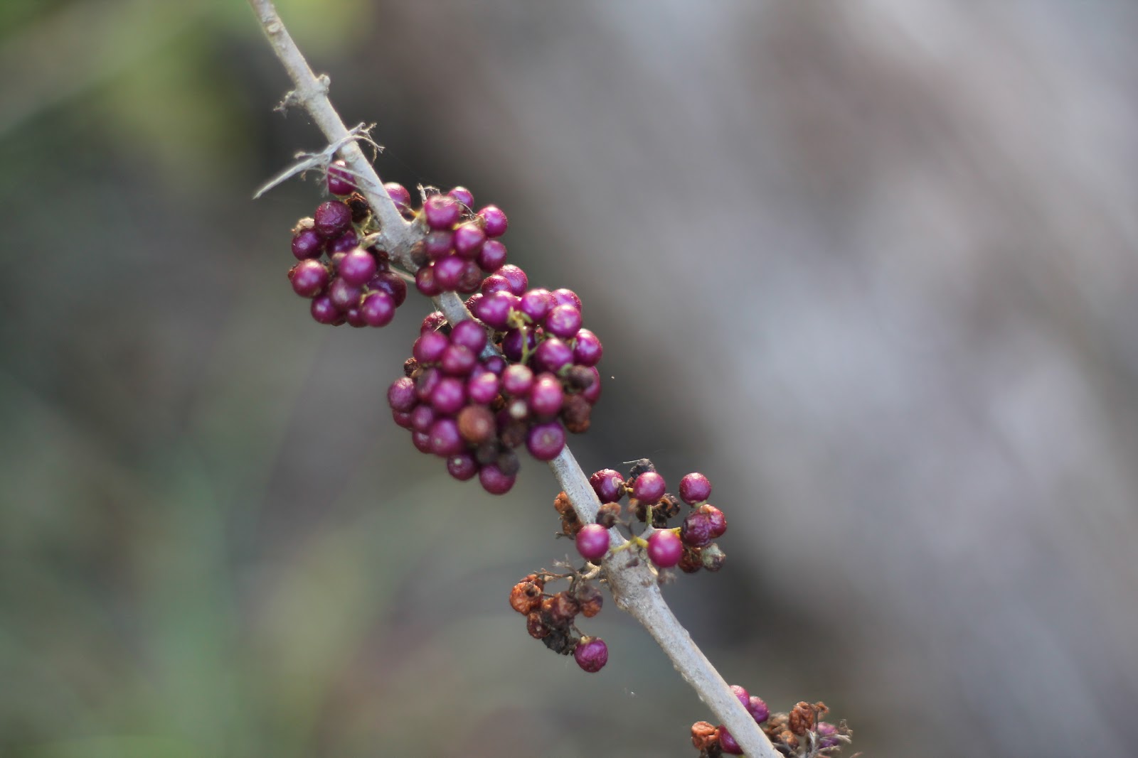 Surrounded-by-boys: Saying No....