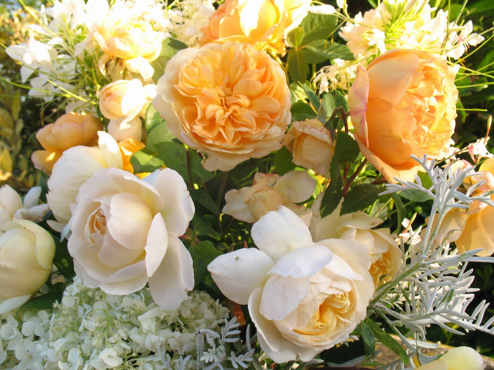 Roses du jardin Chêneland Roses anglaises en bouquet