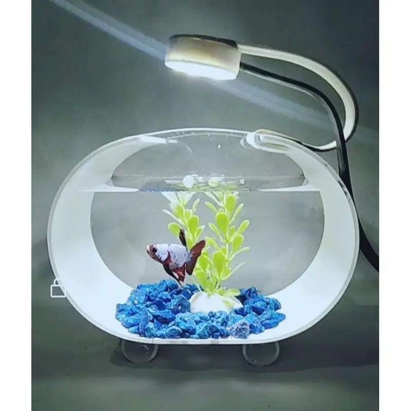 Daftar Harga Aquarium Mini - Ikanhiasku.net