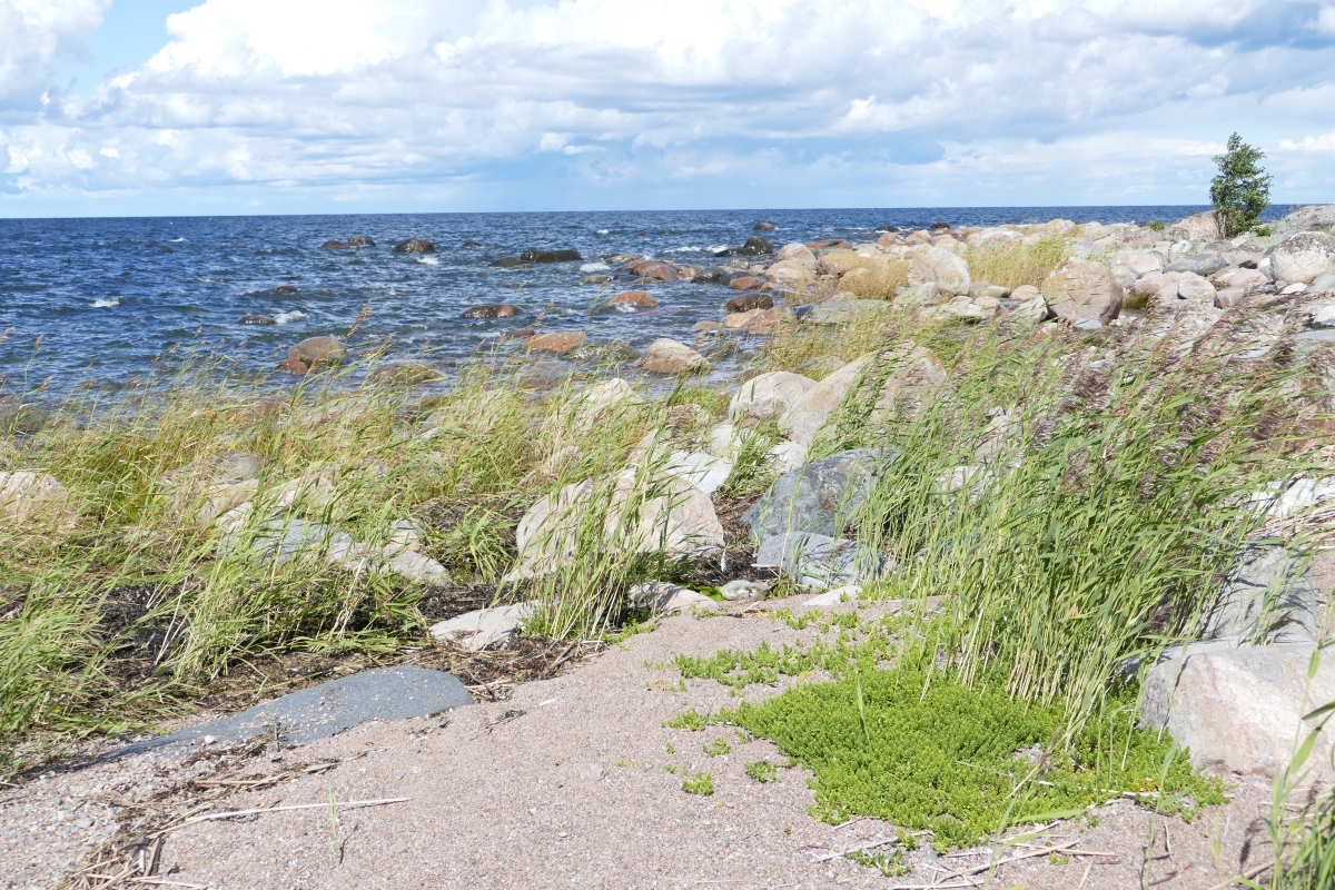 Andrea Rössler auf Weltreisen Lahemaa Nationalpark der Park der