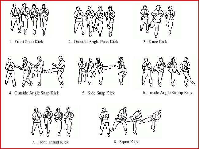 Isshin-Ryu Karate Do - One Heart Way: Basics Basics Basics